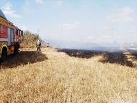Кіровоградська область: 18 пожеж на відкритих територіях загасили вогнеборці