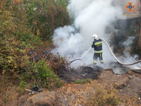 Обухівський район: рятувальники ліквідували загорання гілля
