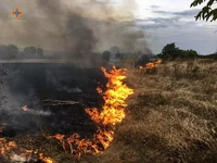 Рятувальники ліквідували 6 пожеж сухої рослинності