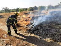 На Кіровоградщині загасили 26 пожеж на відкритих територіях