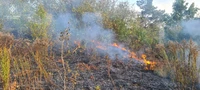 Упродовж доби вогнеборці області загасили 7 пожеж сухої трави та чагарників на площі майже 7 га