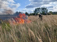 Сумська область: минулої доби вогнеборці 5 разів ліквідовували загоряння на відкритих територіях