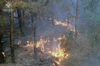 Новомосковський район: ліквідовано дві лісові пожежі