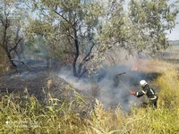 На території Кіровоградської області вогнеборці ліквідували 31 займання на відкритих територіях