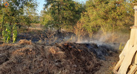 Броварський район: ліквідовано загоряння сухої рослинності