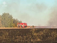 За добу рятувальники області загасили 15 пожеж сухої рослинності, на одній з яких травмувалася людина