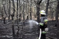 На Кіровоградщині рятувальники загасили займання на території лісового масиву