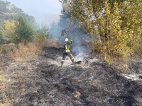 За добу, що минула, на території Кіровоградської області вогнеборці ліквідували 58 займань на відкритих територіях