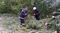Упродовж доби рятувальники два рази надавали допомогу населенню у прибиранні аварійних дерев