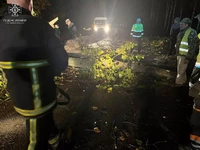 За добу рятувальники 9 разів надавали допомогу у прибиранні дерев, що впали на автошляхи та перешкоджали руху