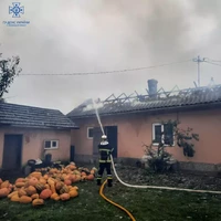 Чернівецька область: ліквідовано 15 пожеж