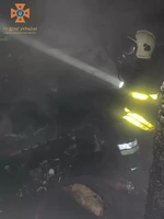 Вогнеборці ліквідували пожежу в Заболотівській ТГ