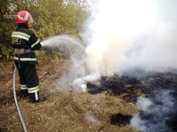 Кіровоградська область: рятувальники ліквідували 5 пожеж на відкритих територіях