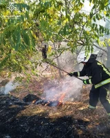 Кіровоградська область: рятувальники ліквідували 6 пожеж на відкритих територіях