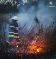 Броварський район: ліквідовано загорання трав’яного настилу