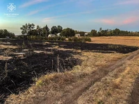 На Черкащині рятувальники ліквідували 8 пожеж на відкритих територіях