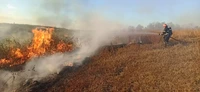 Кіровоградська область: рятувальники ліквідували 18 пожеж на відкритих територіях