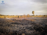 Київська область: триває ліквідація загорання торфу