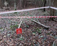 На Стрийщині знищено застарілий артснаряд, на який натрапили під час збирання грибів
