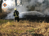 На території області за добу ліквідовано 29 пожеж