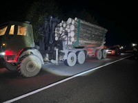 На Рахівщині поліція задокументувала злочин у сфері довкілля: вилучено вантажівку з нелегальною лісопродукцією