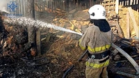 Конотопський район: вогнеборці ліквідували пожежу, яку спричинили дитячі пустощі