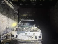 Миколаївська область: за добу на території області виникло 17 пожеж