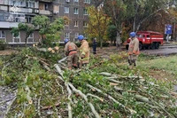 М. Нікополь: фахівці ДСНС прибрали повалене дерево з проїжджої частини