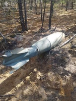 Коростенський район: піротехніки знищили сучасну авіабомбу калібром 500 кг