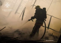 На Стрийщині вогнеборці врятували від знищення вогнем господарську будівлю