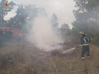 Вишгородський район: ліквідовано загорання трав’яного настилу