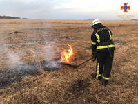 Білоцерківський район: ліквідовано загорання трав'яного настилу