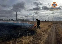 На Кіровоградщині вогнеборці загасили чотири пожежі сухої трави