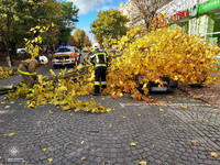 Рятувальники ліквідували наслідки падіння дерева