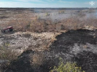 На Миколаївщині знову доба пожеж сухостоїв