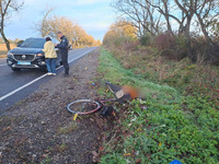 Наїхав на велосипедиста та втік: поліція Виноградова затримала 49-річного водія, який спричинив смертельне ДТП