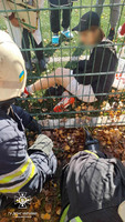 Бориспільський район: рятувальники звільнили дитину з металевої конструкції