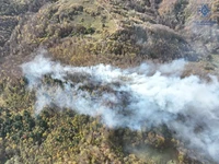 Вижницький район: майже пів сотні рятувальників гасили пожежу лісової підстилки на території національного природного парку