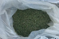 На Охтирщині поліцейські викрили чоловіка у незаконному зберіганні наркотиків
