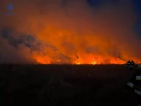 Минулої доби рятувальники Тернопільщини тричі залучались до гасіння пожеж в екосистемах