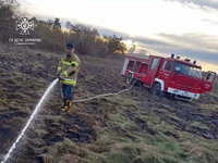 Вогнеборці місцевих пожежних команд Львівщини протягом доби ліквідували 2 пожежі сухої трави