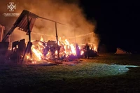 Криворізький район: рятувальники ліквідували пожежу на території приватного домоволодіння