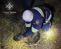 У Трускавці рятувальники врятували з бетонної пастки собаку