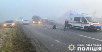 На Полтавщині поліція встановлює обставини ДТП, в якій загинув водій легковика