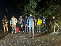 (ВІДЕО) На кордоні зі Словаччиною затримали сімох громадян Індії