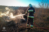 Кам’янець-Подільські вогнеборці ліквідували пожежу в екосистемах