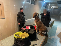 (ВІДЕО) На кордоні з Польщею прикордонний пес допоміг виявити наркотики
