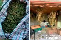 Поліція Полтавщини вилучила понад 80,5 кг канабісу у жителя Полтавського району