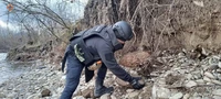 Піротехніки знищили дві авіабомби, знайдені біля річки в селищі Буштино