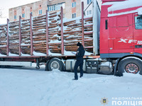 Завдали збитків довкіллю на понад 150 тисяч гривень: на Прилуччині поліцейські затримали чотири вантажівки з незаконно добутою деревиною